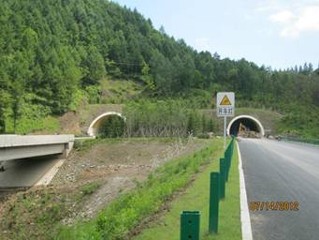 高速公路隧道滲水