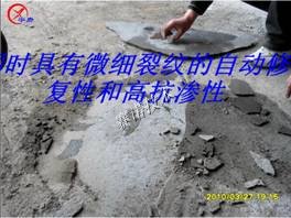 YYA特種防水抗滲漿料