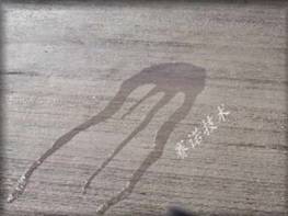 YY7特種路橋防水材料防水滲透效果好 YY7特種路橋防水材料防水滲透效果好