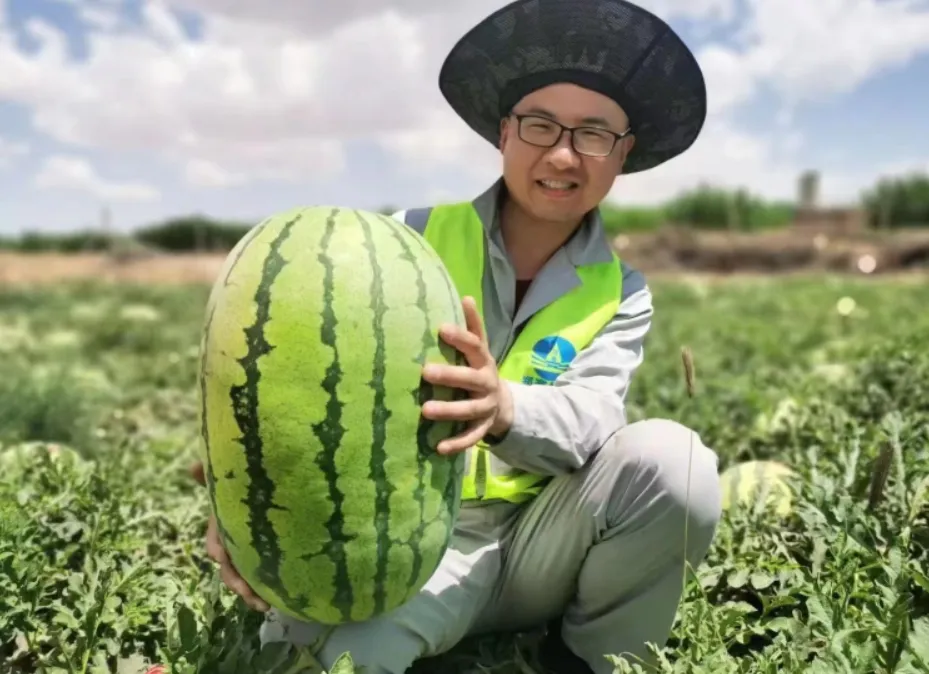 圖片 圖片